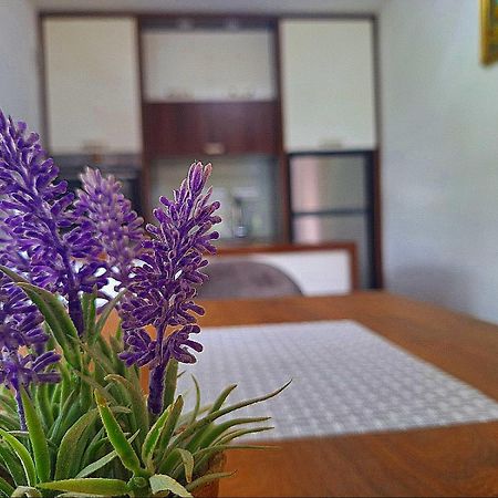 Apartman Kovaci سراييفو المظهر الخارجي الصورة